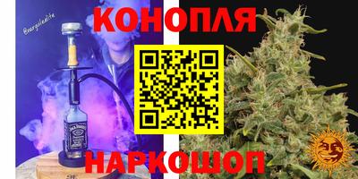 амф Будённовск