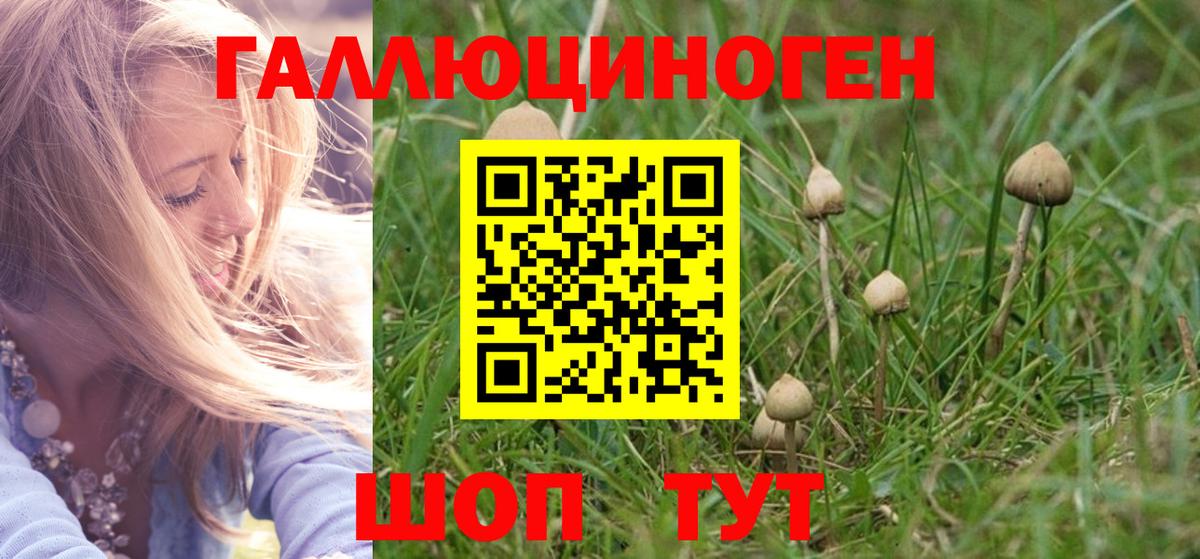 Псилоцибиновые грибы Magic Shrooms Шадринск
